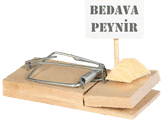 Bedava blog açmak mantıklı mı