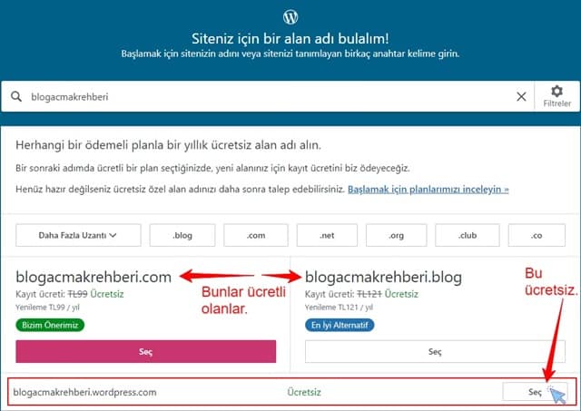 Ücretsiz Blog Açma - WordPress uzantılı domain