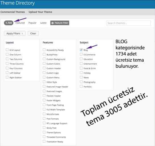 Wordpress ücretsiz tema