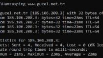 Güzelhosting türkiye lokasyon hız testi