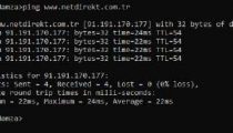 Netdirekt türkiye lokasyon hız testi