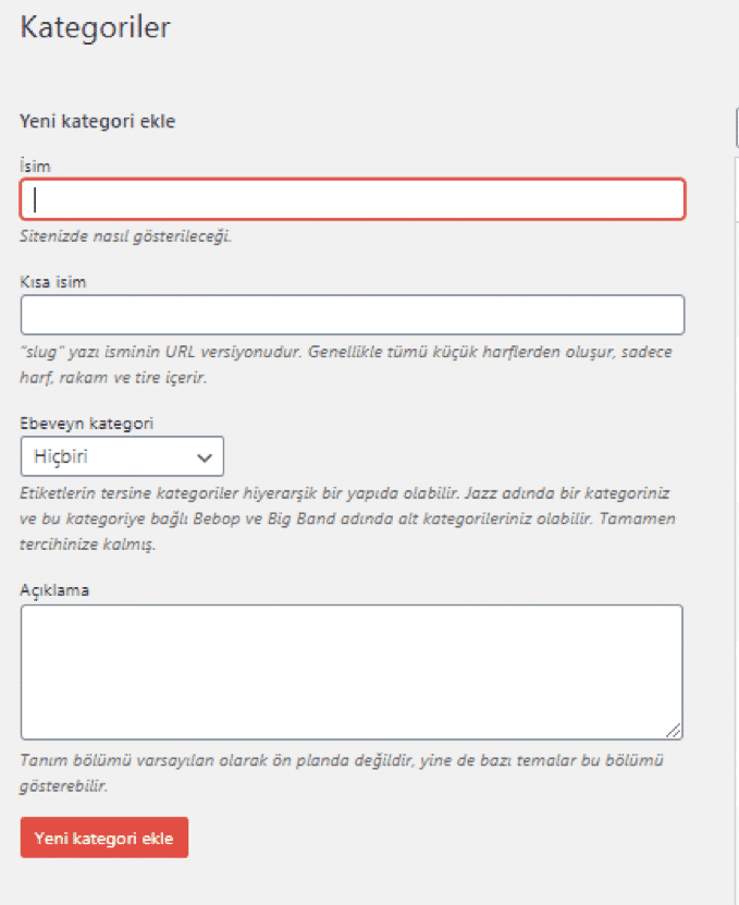 wordpress kategori ismi