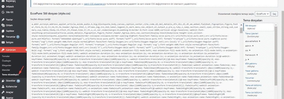 wordpress tema düzenleme