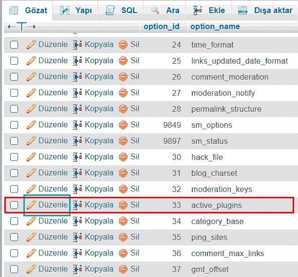 phpMyAdmin Kullanarak WordPress Eklenti Etkisizleştirme 1