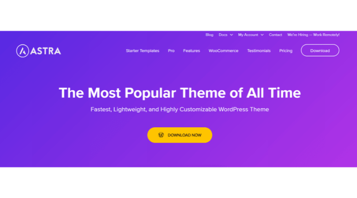 En Hızlı WordPress Teması - Astra
