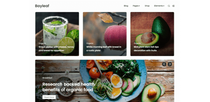 Hızlı wordpress teması - bayleaf