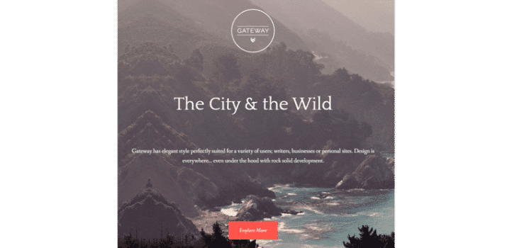 Hızlı wordpress teması - Gateway