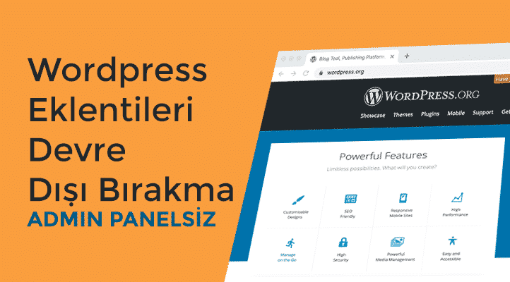 wordpress ve eklentileri devre disi birakmak