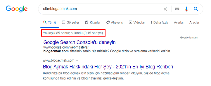 Sitem Google'da Görünmüyor