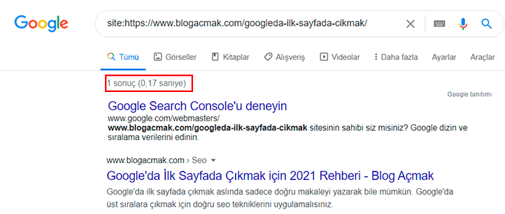 Sitem Google'da Görünmüyor 2