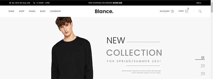 En İyi WordPress E-Ticaret Teması - Blance
