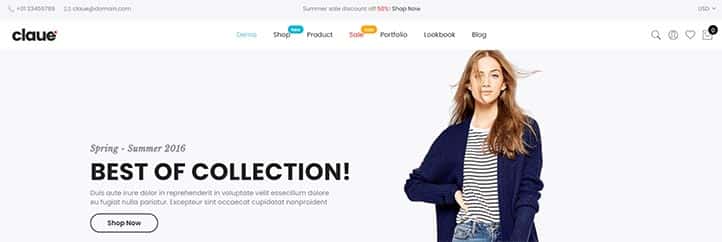 Wordpress E-Ticaret Satış Teması - Claue