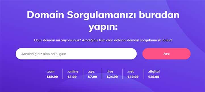 Domain Sorgulama Ekranı - Hostinger