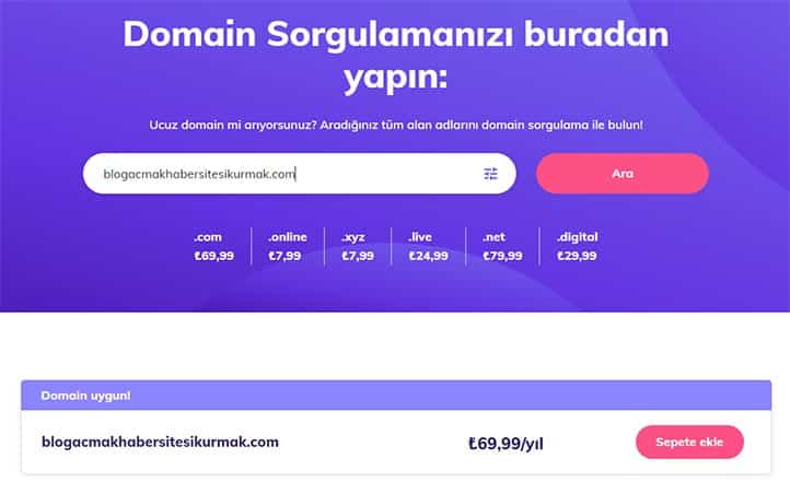 Domain Sorgulama Sonuç Ekranı