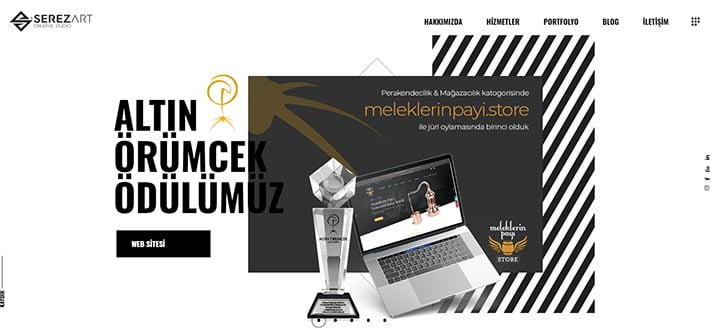 Türkiye'nin En İyi Web Tasarım Firmaları - Serez Art