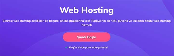 Web Hosting